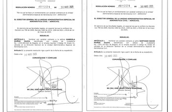 Gabriela Muñoz fue vinculada a la Aerocivil, al igual que su hermano Santiago - crédito Aerocivil