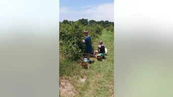 Allen practicó y refinó su