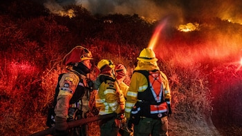Nueve incendios forestales golpearon a Quito en una jornada marcada por el fuego y el humo