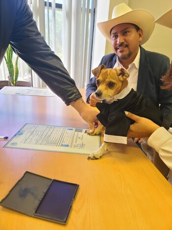 Momento en que el perro