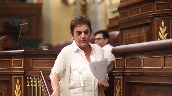 Bildu llama a aplicar la amnistía a los "represaliados" y avanzar en las "soluciones políticas", tras el fallo del TJUE