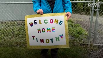 Perro - 4 años jaula - adoptado