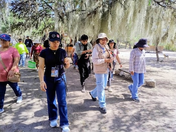 Grupo de personas camina por un sendero de tierra bajo árboles con musgo colgante. Algunas personas llevan gorras o sombreros. Hay un perro a la derecha