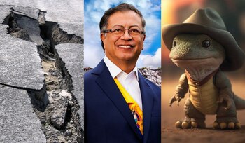 Google reveló cuáles han sido las interrogantes más frecuentes entre los colombianos durante 2023, reflejando un amplio espectro de intereses y preocupaciones.