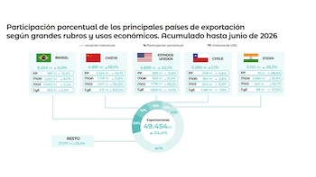 Infografía. Gráfico de participación porcentual de exportaciones de Brasil, China, Estados Unidos, Chile e India con montos y variaciones por rubro