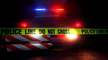 La investigación llevará meses, según