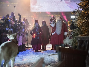 Una empresa familiar te ofrece