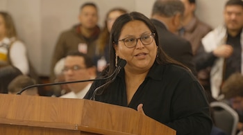 Citlalli Hernández negó que Estados Unidos influyera en la selección de coordinadores de Morena y pidió al PT superar sus diferencias para competir juntos en las elecciones de 2027.