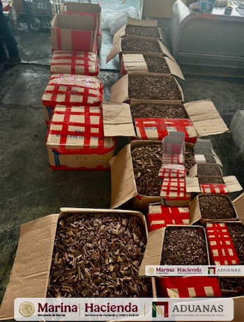 La Agencia Nacional de Aduanas de México (ANAM), en coordinación con la Secretaría de Marina (SEMAR), aseguró 1,873.5 kilogramos de corteza de tepezcohuite Foto: Aduanas
