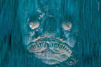 Natural History Museum