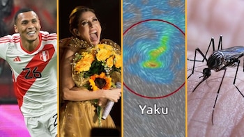 Selección peruana, flores amarillas, ciclón, dengue y Guillain-Barré entre las preguntas más buscadas de Google Perú en el año 2023. (Infobae)