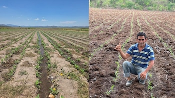 El gobierno de El Salvador apuesta por el riego para aumentar siembra de maíz ante el “Súper Niño”