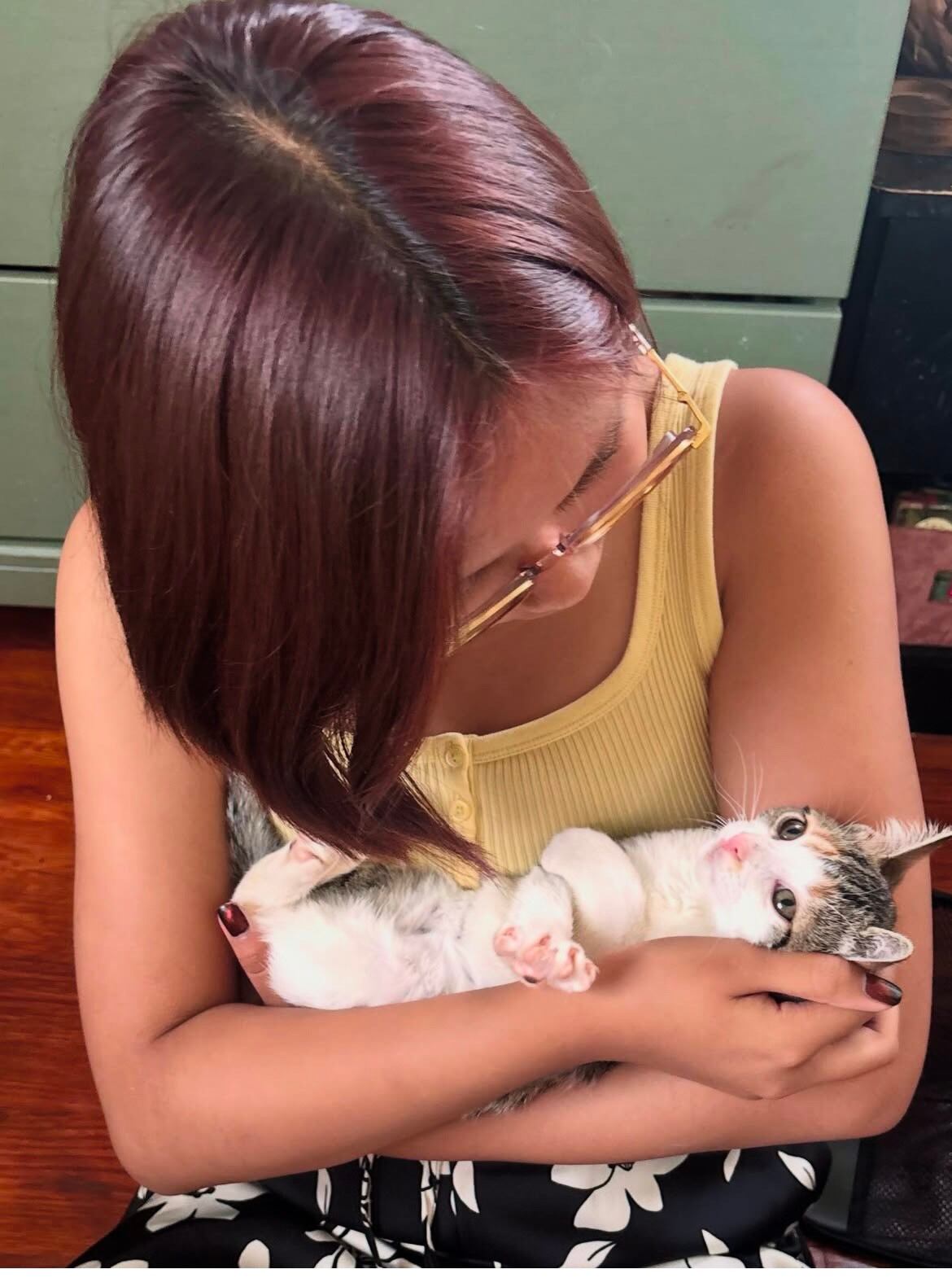 Macy Lyle celebra la adopción de sus gatitos por un grupo de amigos, donde disfrutan de juegos y cariño, mientras Azurite prospera en su nuevo hogar lleno de amor. (IG/@riverdale_community_cats)