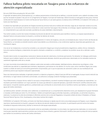 Corpamag indicó que los varamientos recurrentes en cetáceos pueden estar vinculados con problemas de salud, debilidad extrema o alteraciones neurológicas - crédito Corpamag
