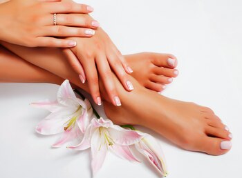 Las profesionales trabajan bajo un