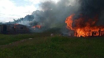 Habrían robado 200 cabezas de