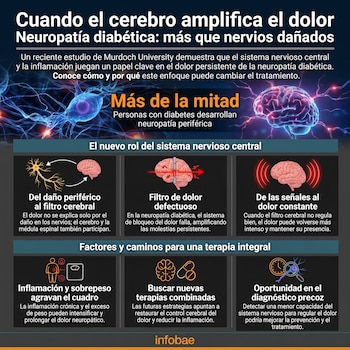 Infografía sobre neuropatía diabética con ilustraciones del cerebro, neuronas, íconos de inflamación y terapia, y texto explicando la amplificación del dolor.