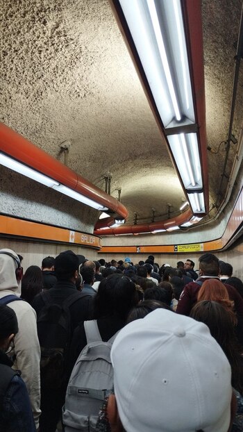 Estado de las líneas del