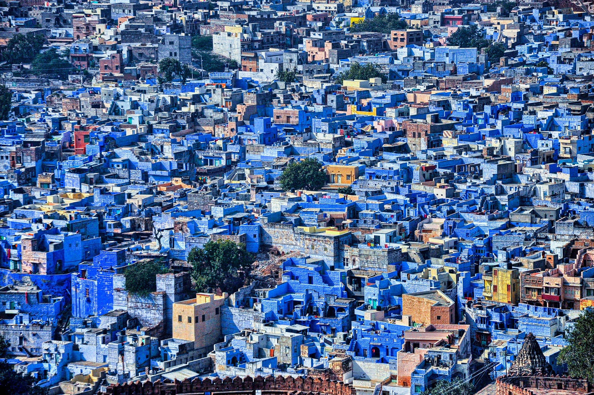Las casas pintadas de azul se extienden de manera densa por el casco antiguo de la ciudad de Jodhpur, vista desde las inmediaciones del fuerte de Mehrangarh en Rajastán. (Unsplash)