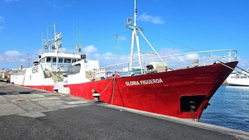 Justicia no consigue subastar un