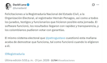 David Luna defendió el funcionamiento del sistema electoral y destacó la rapidez con la que se entregaron los resultados - crédito @lunadavid/X