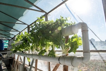 Con un sistema que integra