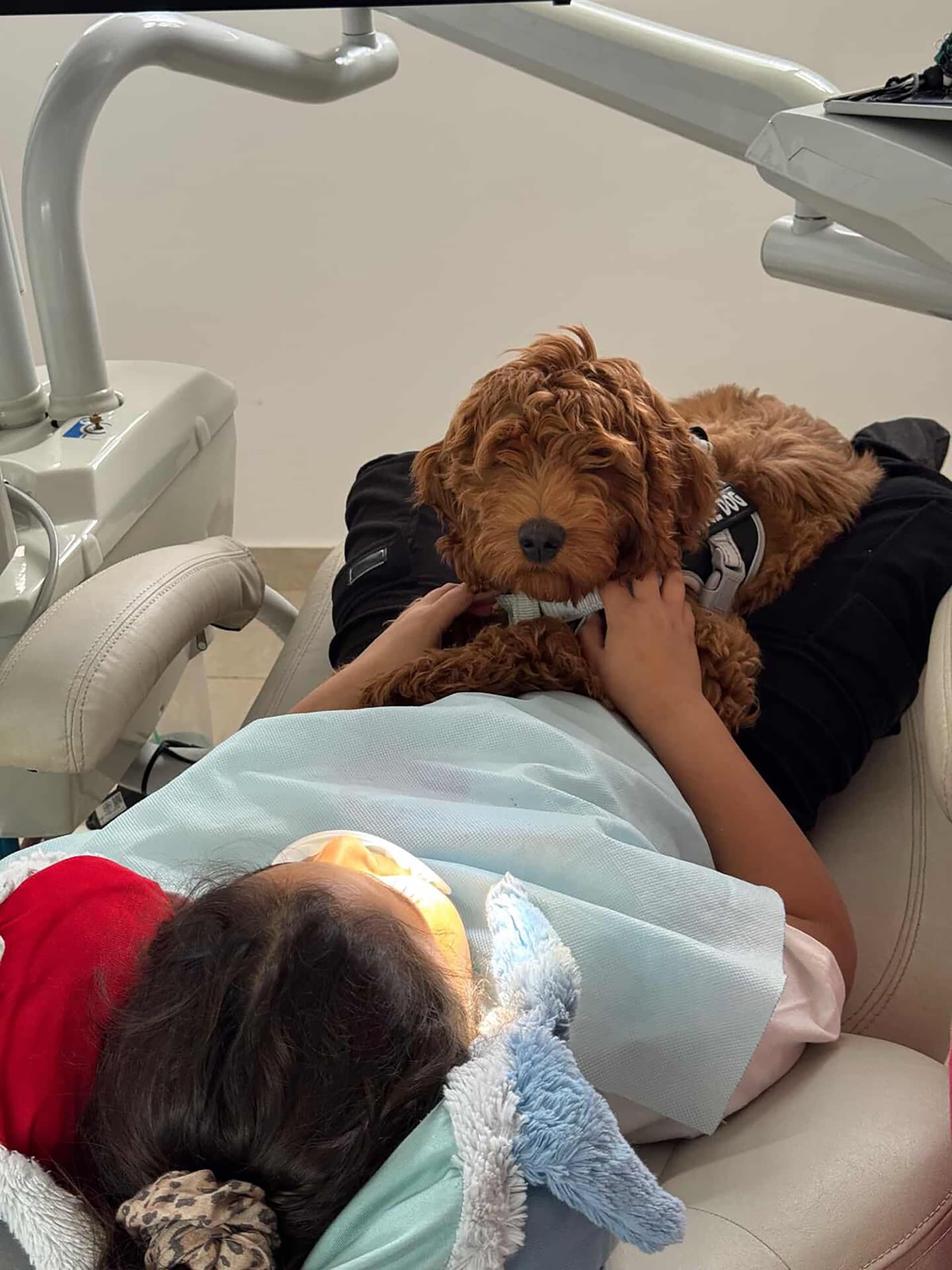 Los niños que sienten miedo a las prácticas odontológicas ingresan de otro modo al consultorio, desde el afecto y el juego