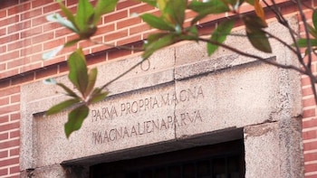 Un libro aborda cómo el