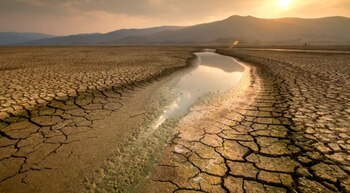 Los Servicios Meteorológicos e Hidrológicos