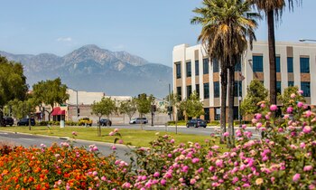 El programa piloto está diseñado