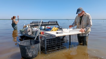 Monitoreo de las condiciones hidrometeorológicas y de la biota acuática de Doñana (J. Manuel Vidal-Cordero, EBD-CSIC)