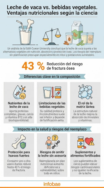 Infografía sobre leche de vaca y bebidas vegetales, con ilustraciones de vasos de leche, un hueso, cartones vegetales y diversos iconos nutricionales.