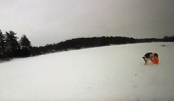 El hombre fue llevado a