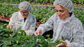 En 2021 se alcanzó una