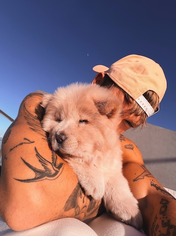 Ian Lucas presenta a su nueva mascota Paris
