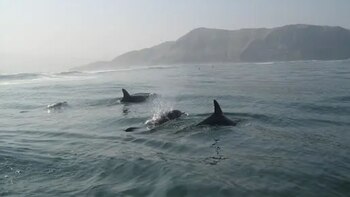 La conmemoración del 23 de