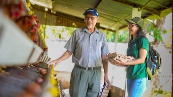 Los datos del último Censo