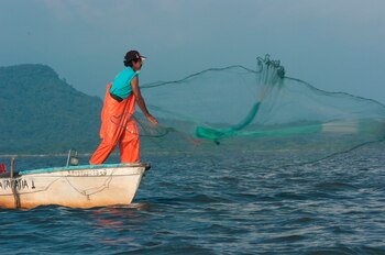 EFE/ Fondo Mundial para la