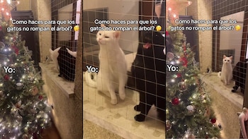 Aunque no les gustó mucho