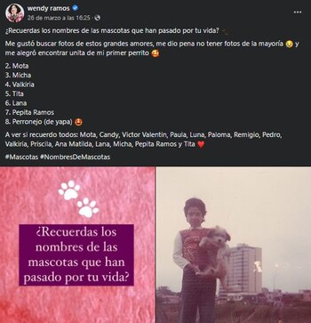 Publicación en el perfil de