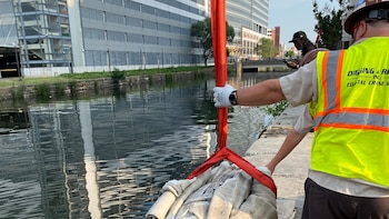 La administración de Donald Trump