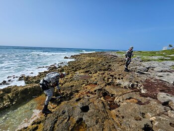 Localizaron un paquete de cocaína