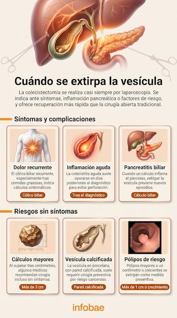 Infografía con ilustraciones anatómicas del hígado, el páncreas y la vesícula biliar junto a seis recuadros con textos explicativos.