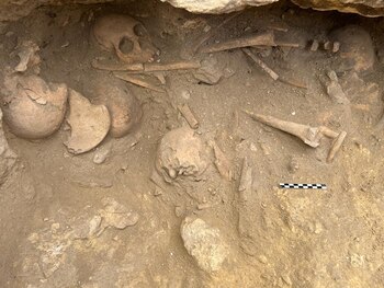 La tumba pudo pertenecer a