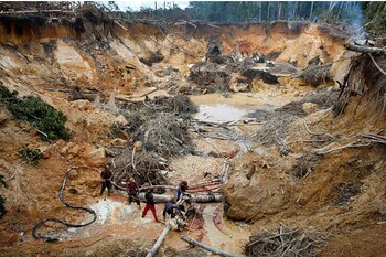 A la depredación del ambiente