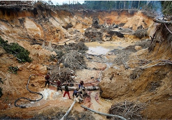 A la depredación del ambiente