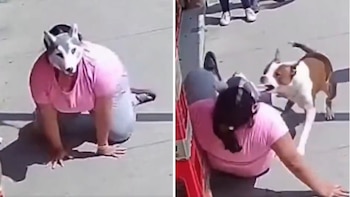 Joven therian vive momento de