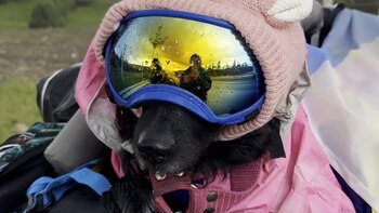 Uma acompaña a Valeria como