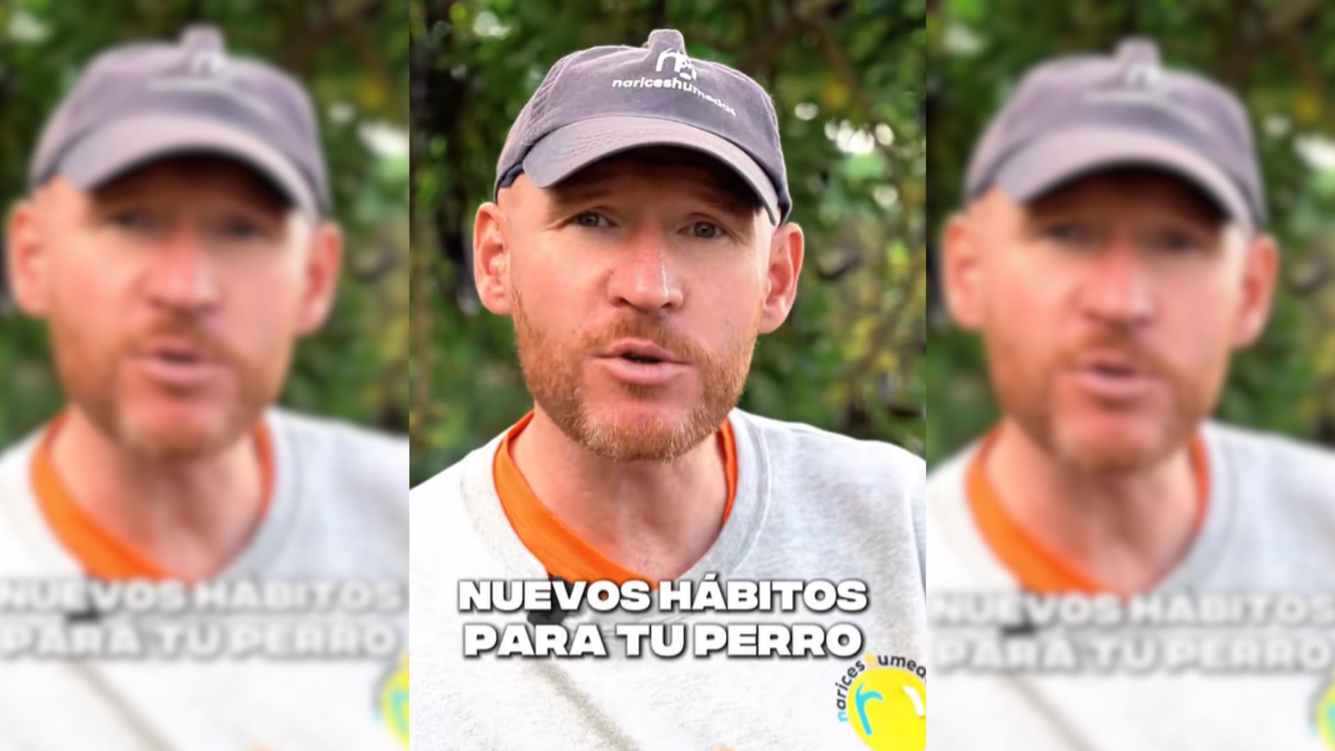 Expertos recomiendan nuevos hábitos para tener perros más felices y tranquilos en 2023