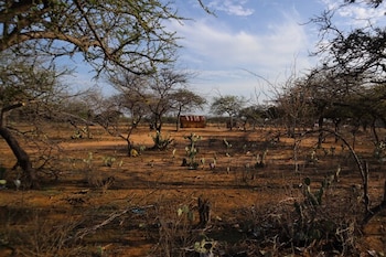 El ICA ha dado recomendaciones